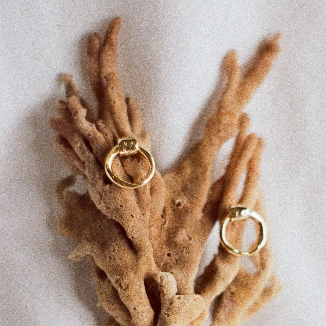Petits Studs GOÉMON or vermeil