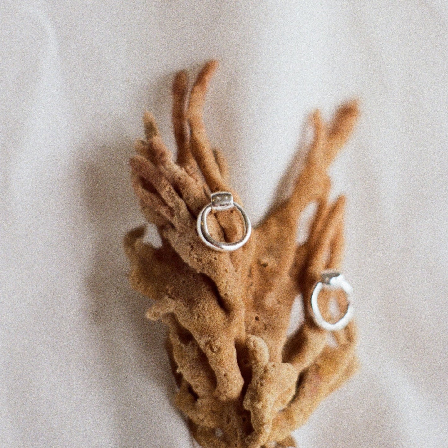 Petits Studs GOÉMON argent