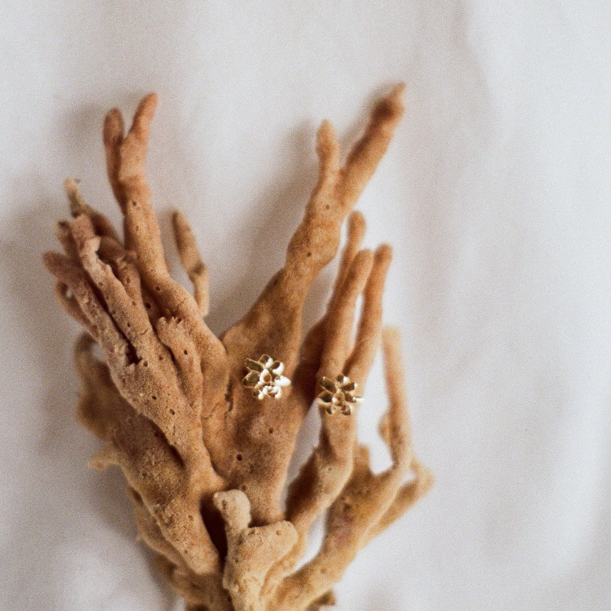 Studs CORAIL or vermeil