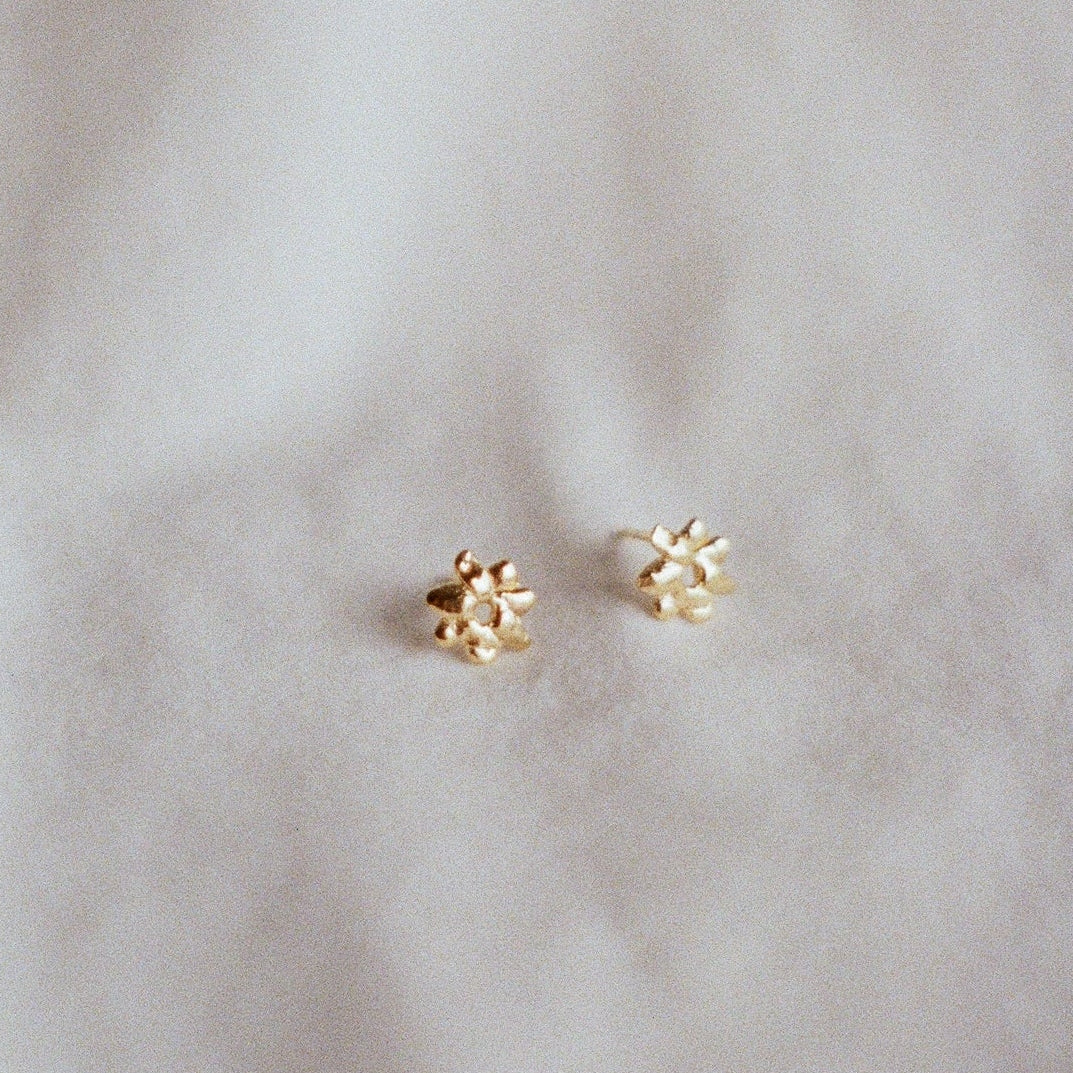 Studs CORAIL or vermeil