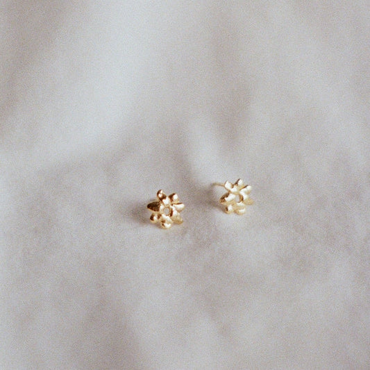 Studs CORAIL or vermeil
