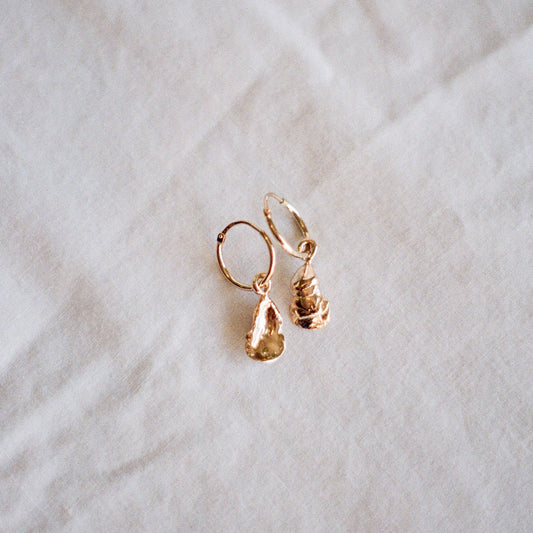 Minis Anneaux Huîtres or vermeil