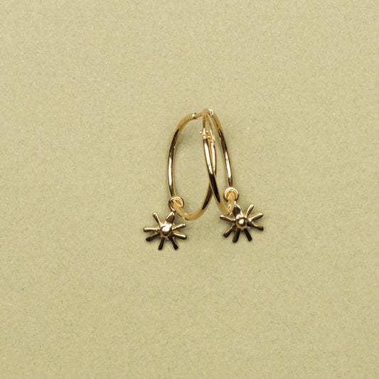 Grands Anneaux Marguerite or vermeil
